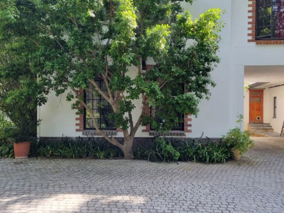 Venture, Constantia