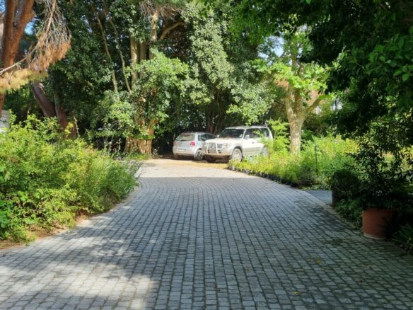 Venture, Constantia