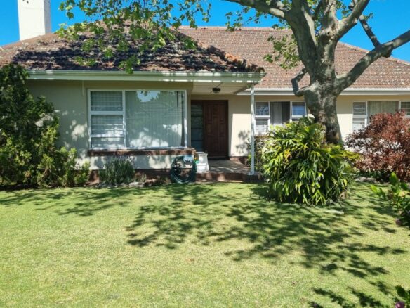 Wendy, Pinelands