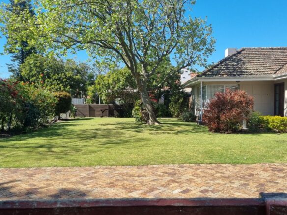 Wendy, Pinelands