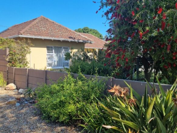 Wendy, Pinelands