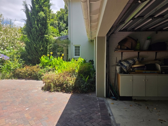 Sarah H, Constantia