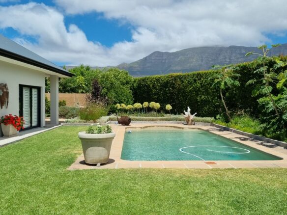 Dyamond, Constantia