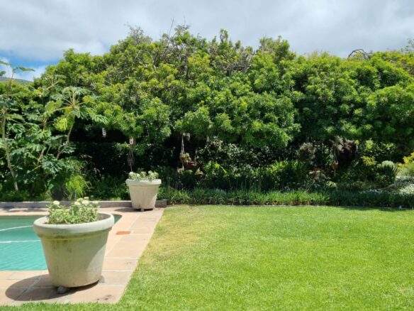 Dyamond, Constantia
