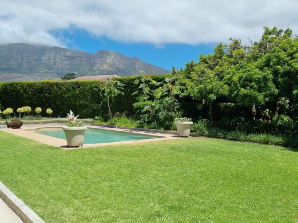 Dyamond, Constantia