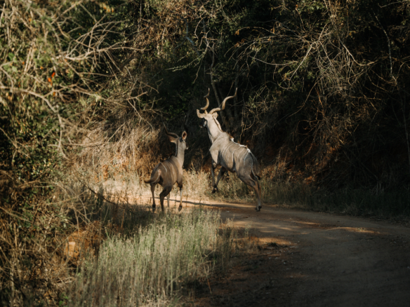 Birkhall Estates, Oribi Gorge