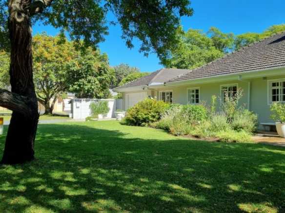 Forest, Tokai