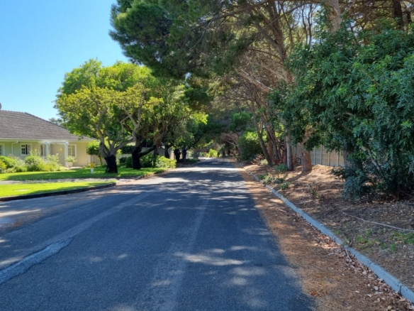 Forest, Tokai