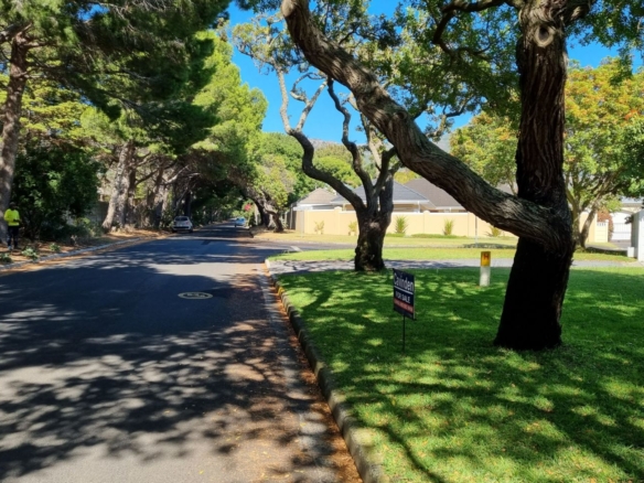 Forest, Tokai