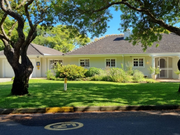 Forest, Tokai
