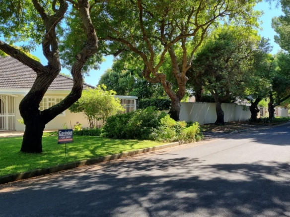Forest, Tokai
