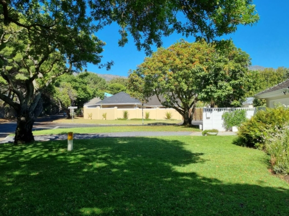 Forest, Tokai