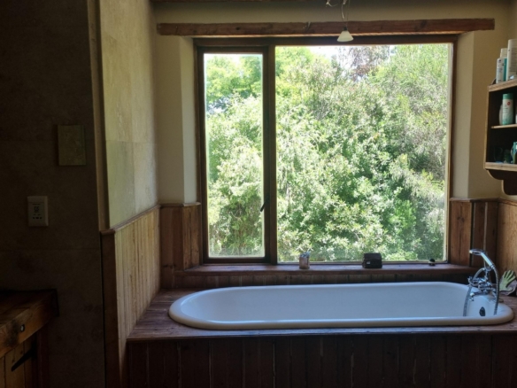 Kuhn, Hout Bay