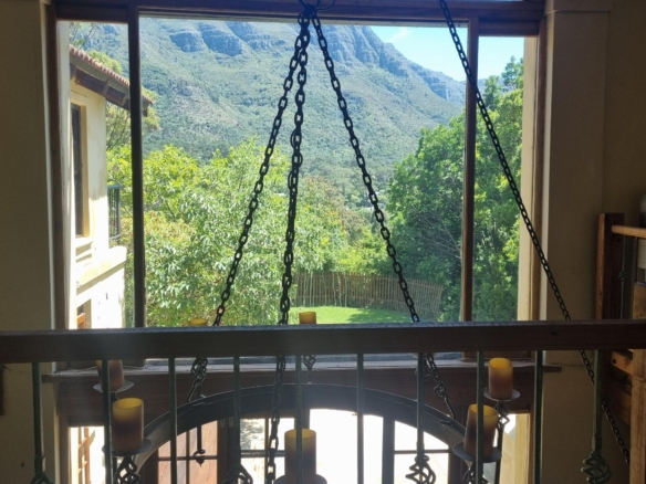 Kuhn, Hout Bay