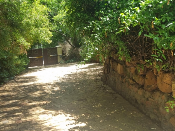 Kuhn, Hout Bay