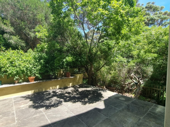 Kuhn, Hout Bay