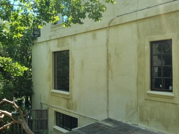 Kuhn, Hout Bay