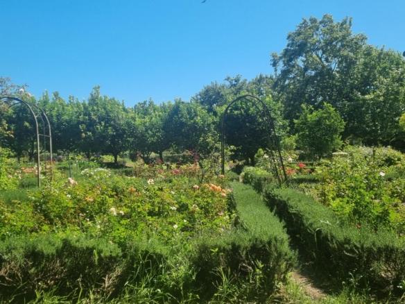 Muldersvlei, Stellenbosch
