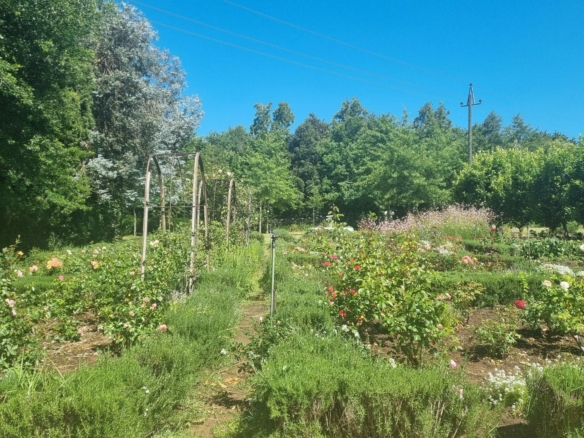 Muldersvlei, Stellenbosch