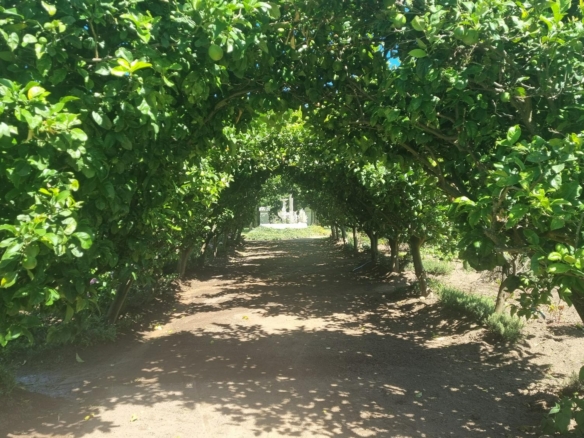 Muldersvlei, Stellenbosch