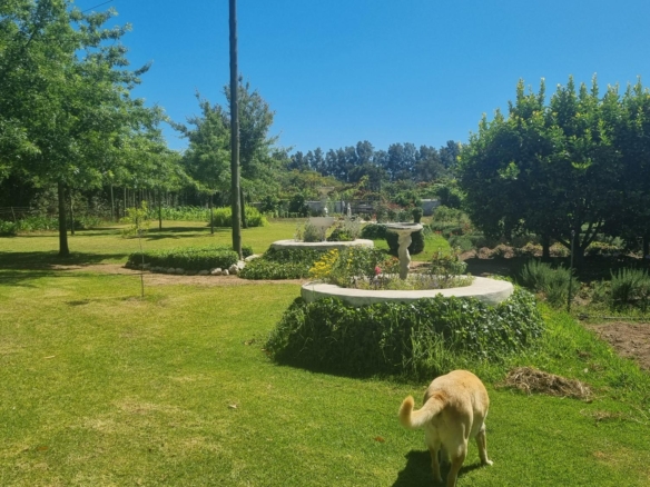 Muldersvlei, Stellenbosch