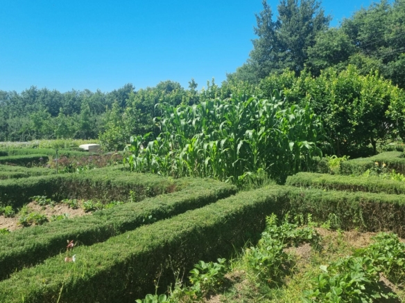 Muldersvlei, Stellenbosch
