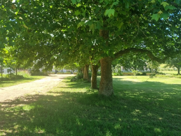 Muldersvlei, Stellenbosch