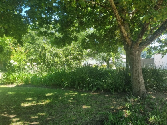 Muldersvlei, Stellenbosch