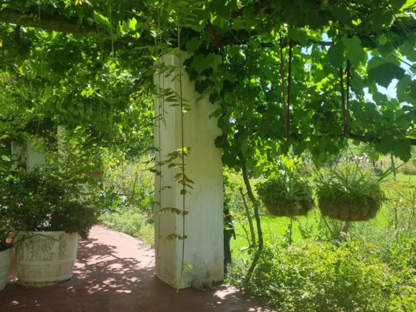 Muldersvlei, Stellenbosch