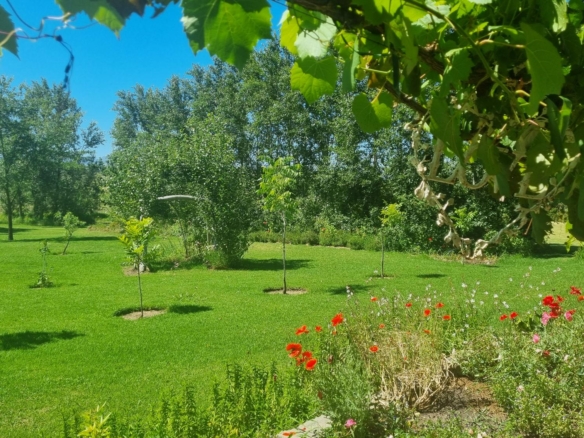 Muldersvlei, Stellenbosch