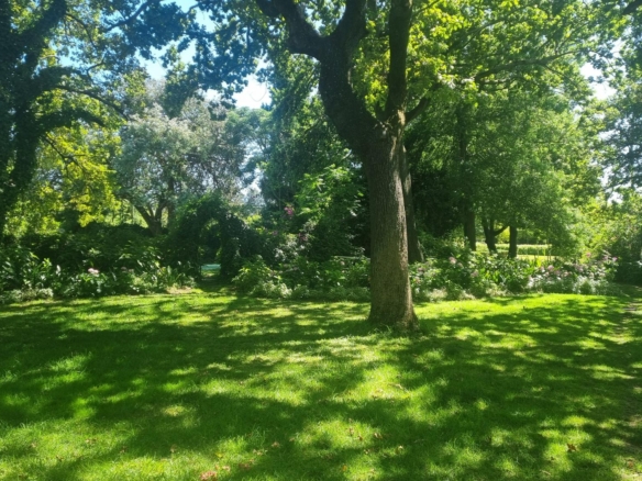 Muldersvlei, Stellenbosch