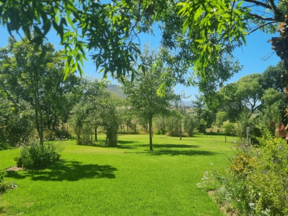 Muldersvlei, Stellenbosch