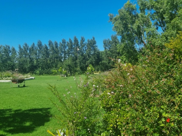 Muldersvlei, Stellenbosch