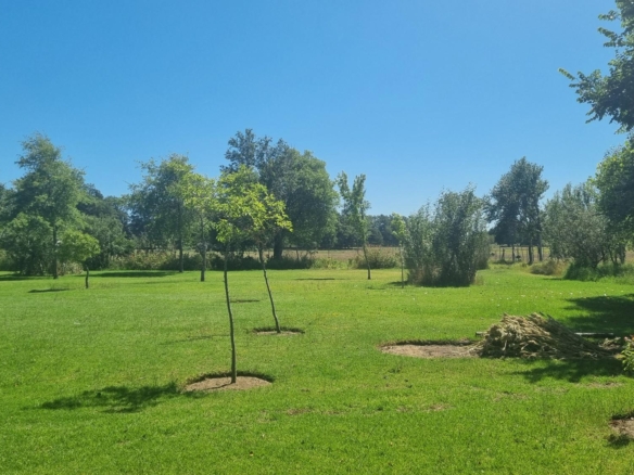Muldersvlei, Stellenbosch