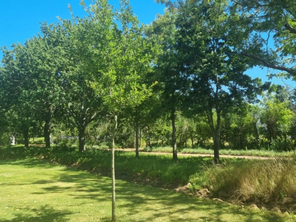 Muldersvlei, Stellenbosch