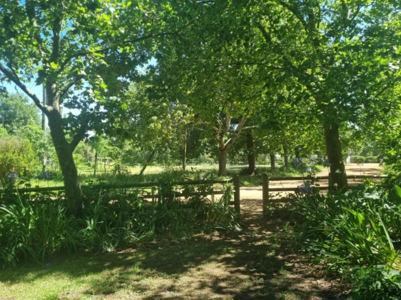 Muldersvlei, Stellenbosch