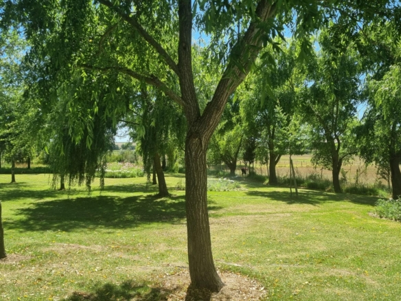 Muldersvlei, Stellenbosch