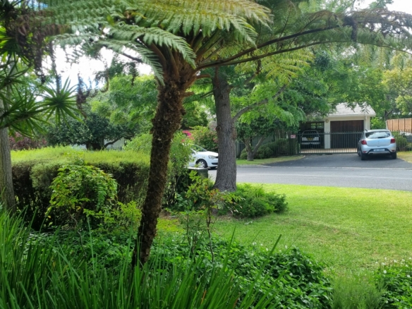 Godet, Tokai