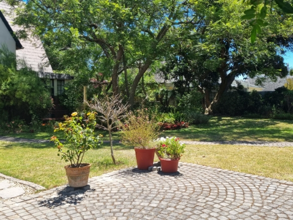 Shepard, Pinelands