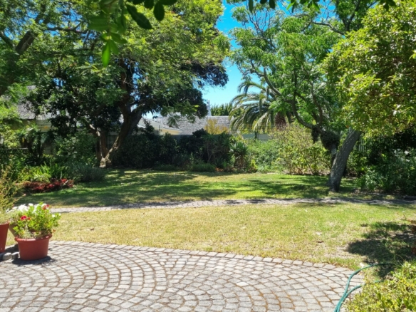 Shepard, Pinelands