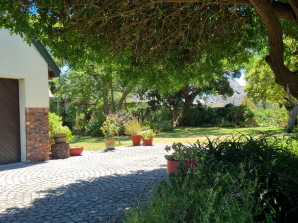 Shepard, Pinelands