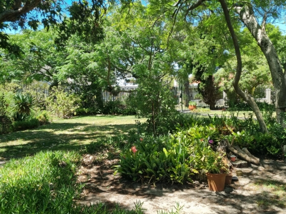 Shepard, Pinelands