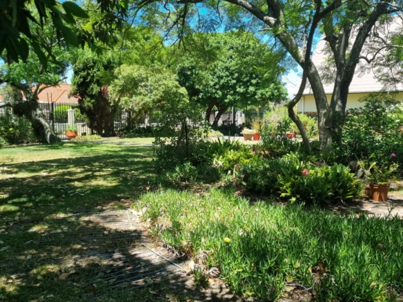 Shepard, Pinelands