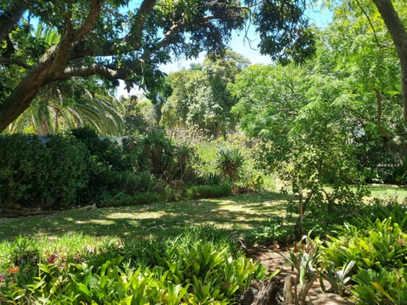 Shepard, Pinelands