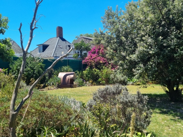 Shepard, Pinelands