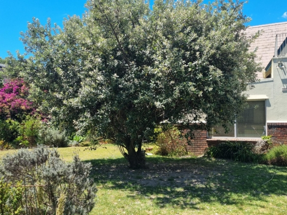 Shepard, Pinelands