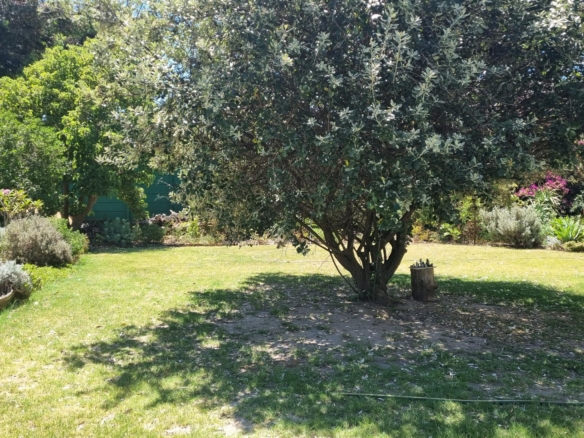 Shepard, Pinelands
