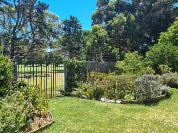 Shepard, Pinelands