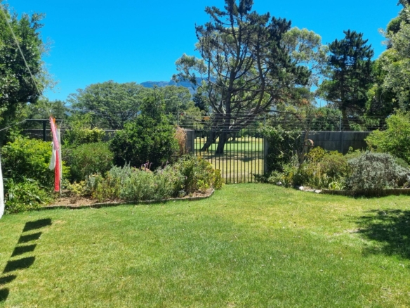 Shepard, Pinelands