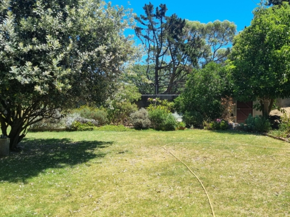 Shepard, Pinelands
